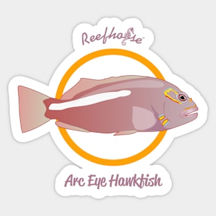 Arc Eye Hawkfish Sticker